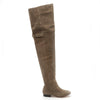 TAUPE