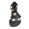 BLACK DAISY