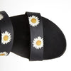 BLACK DAISY